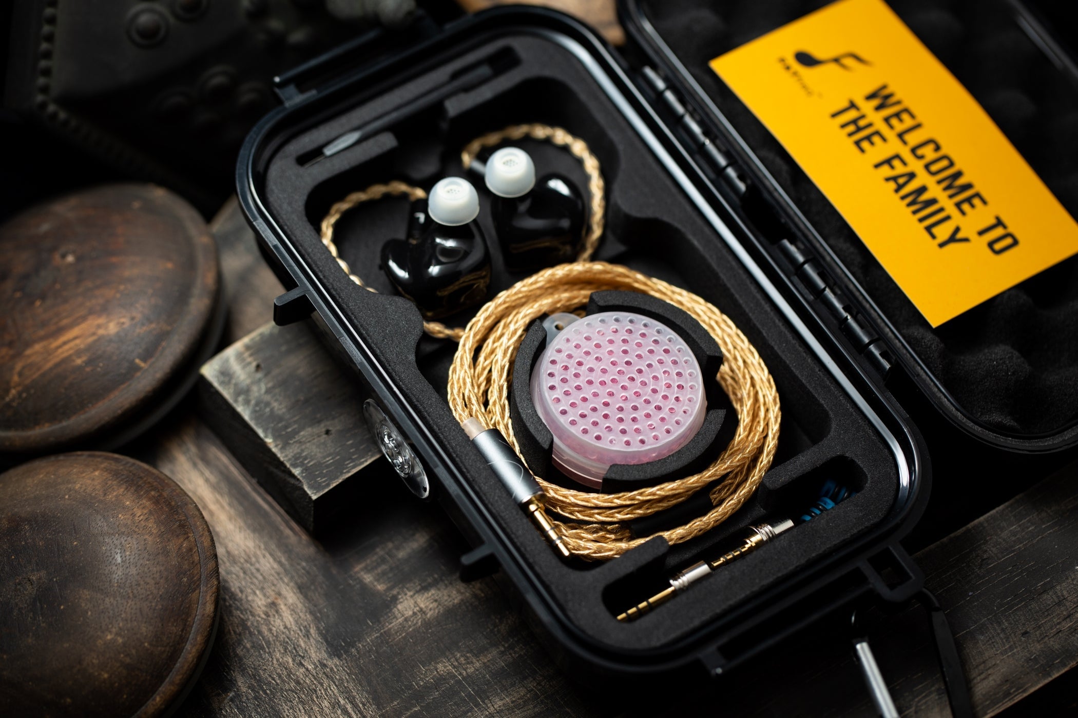 FATFreq Grand Maestro 極美品 アップグレードケーブル付き GRAND Maestro Universals | FATFreq