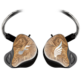 Hayabusa Custom IEM-Copy - Prices from 2537.00 to 2664.00